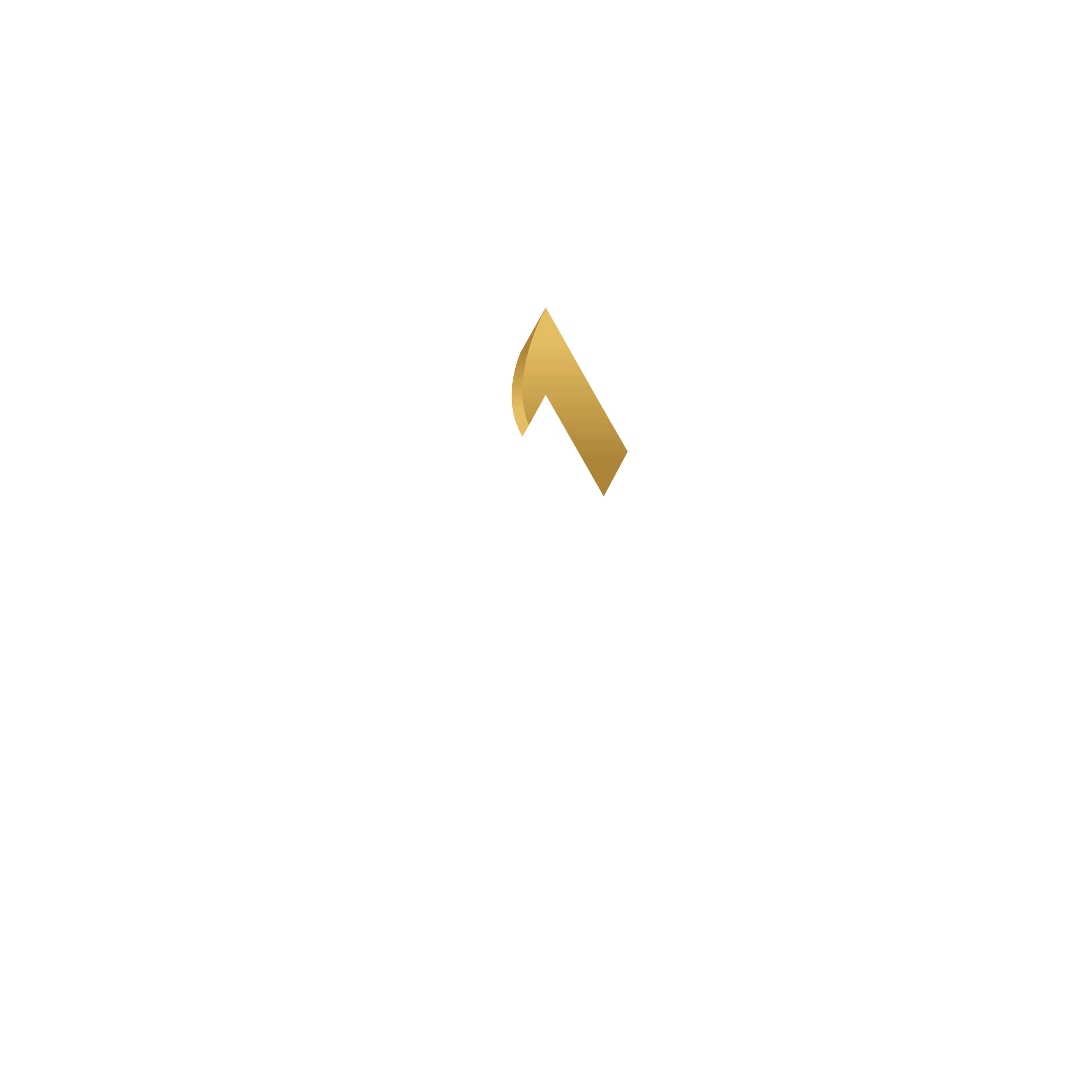 Nexara Summit Group